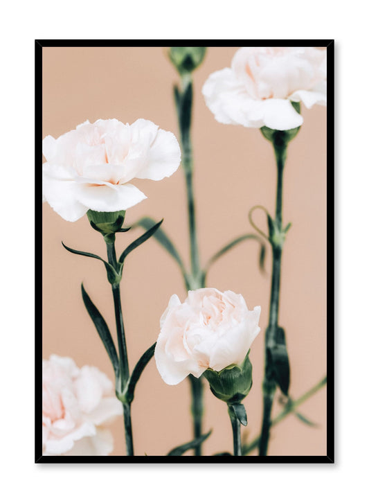 Pink Carnations, Poster
