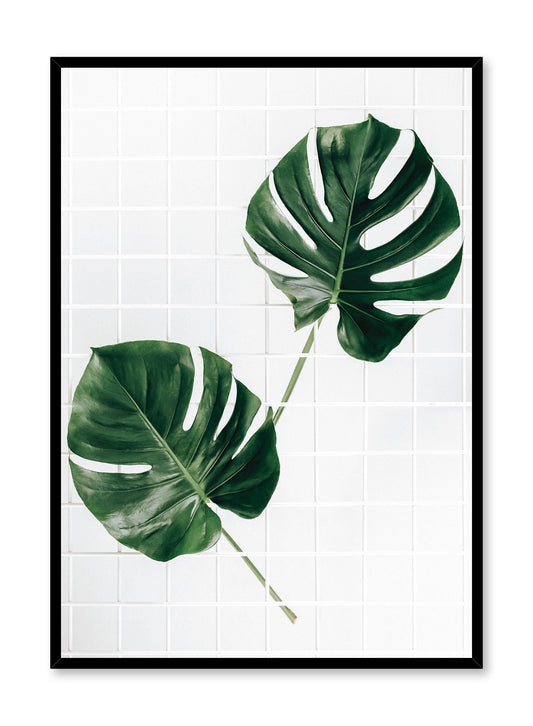 Monstera Deliciosa, Poster