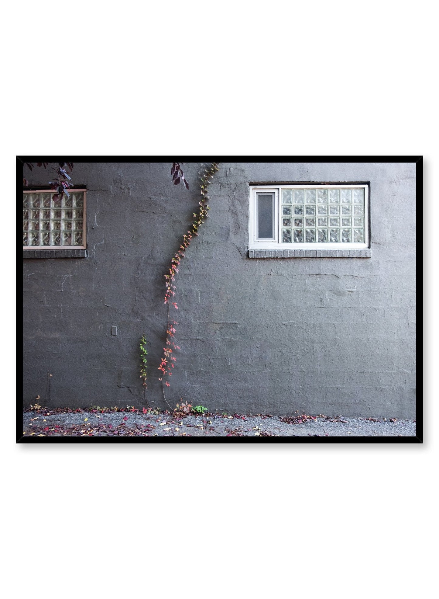 Climbing Flowers, Poster