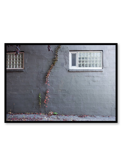 Climbing Flowers, Poster