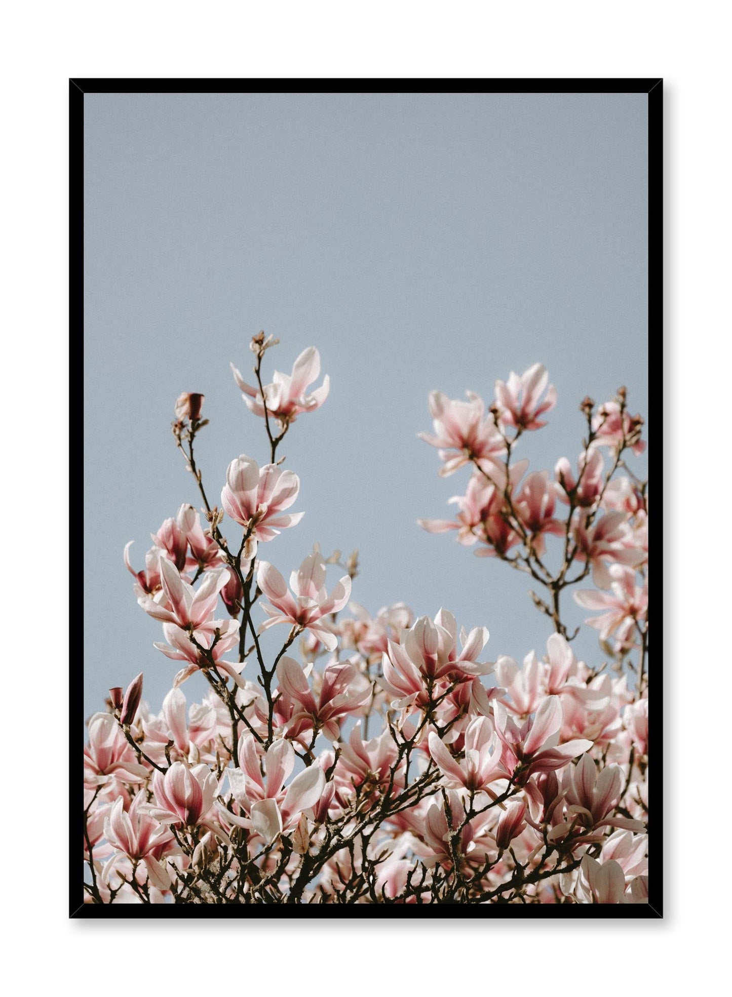 Soaring Flowers, Poster