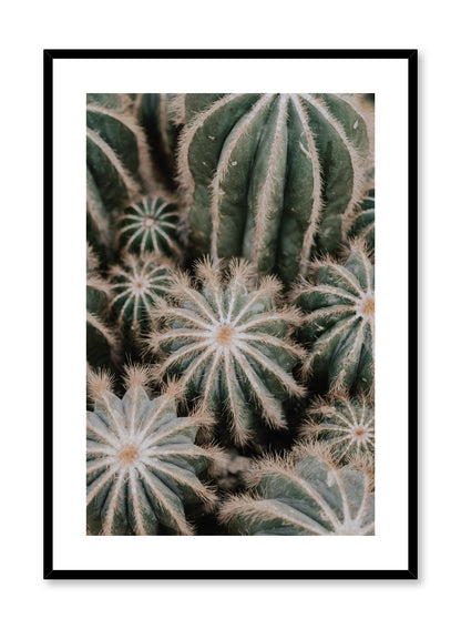 Cacti, Poster