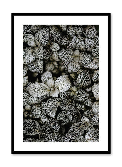 Patterned Leaves, Poster