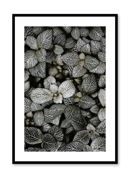 Patterned Leaves, Poster