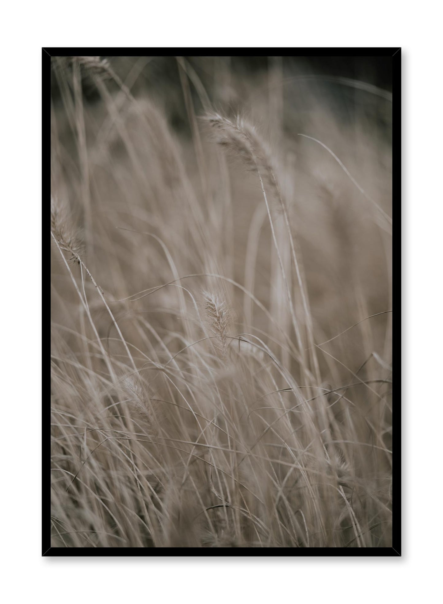 Wild Grasses, Poster