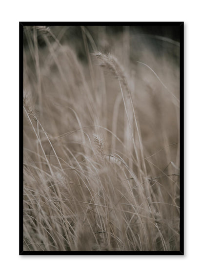 Wild Grasses, Poster