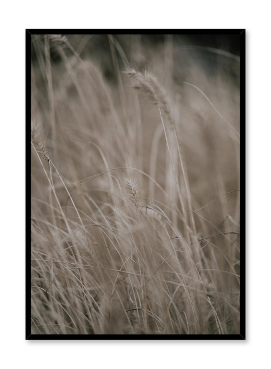 Wild Grasses, Poster
