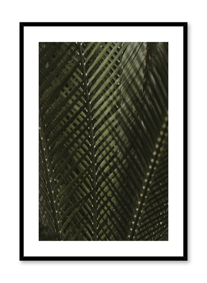 Shadowy Fern, Poster