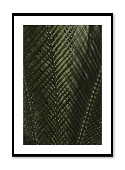 Shadowy Fern, Poster