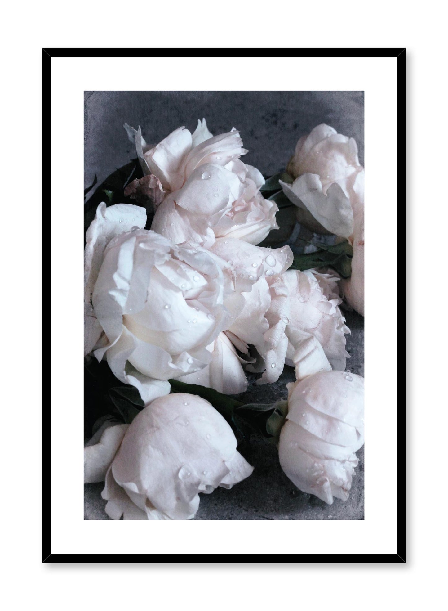 Roses on Sand, Poster