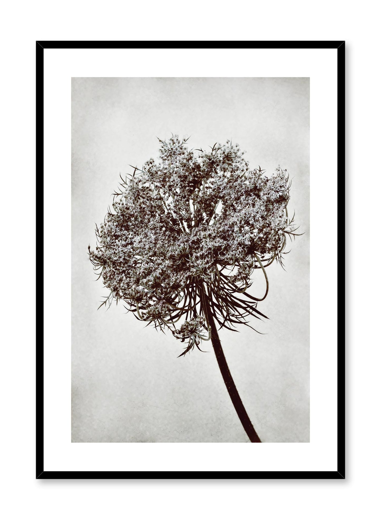 Towering Tree, Poster
