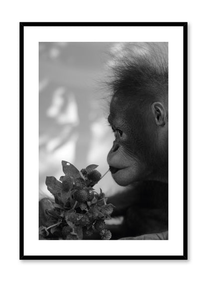 Hungry Monkey, Poster
