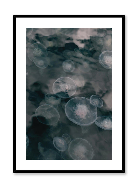 Jelly, Poster