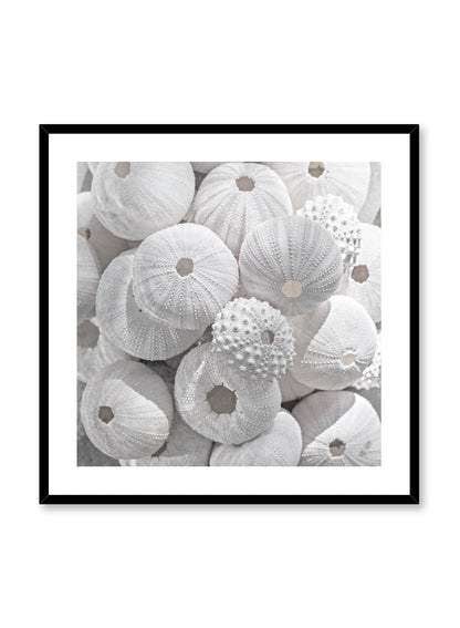 Sea Treasures, Poster