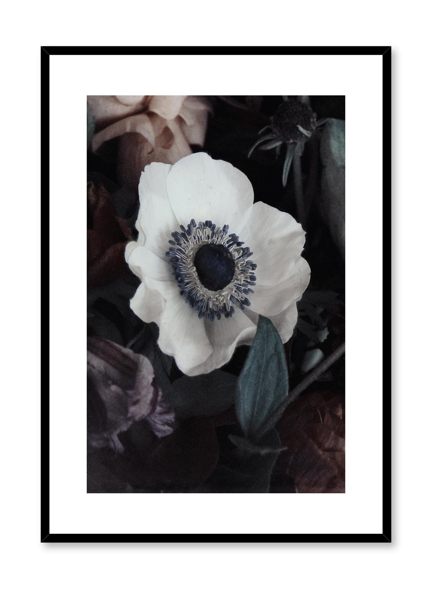 White Flower, Poster
