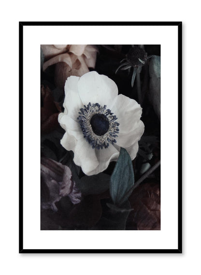 White Flower, Poster