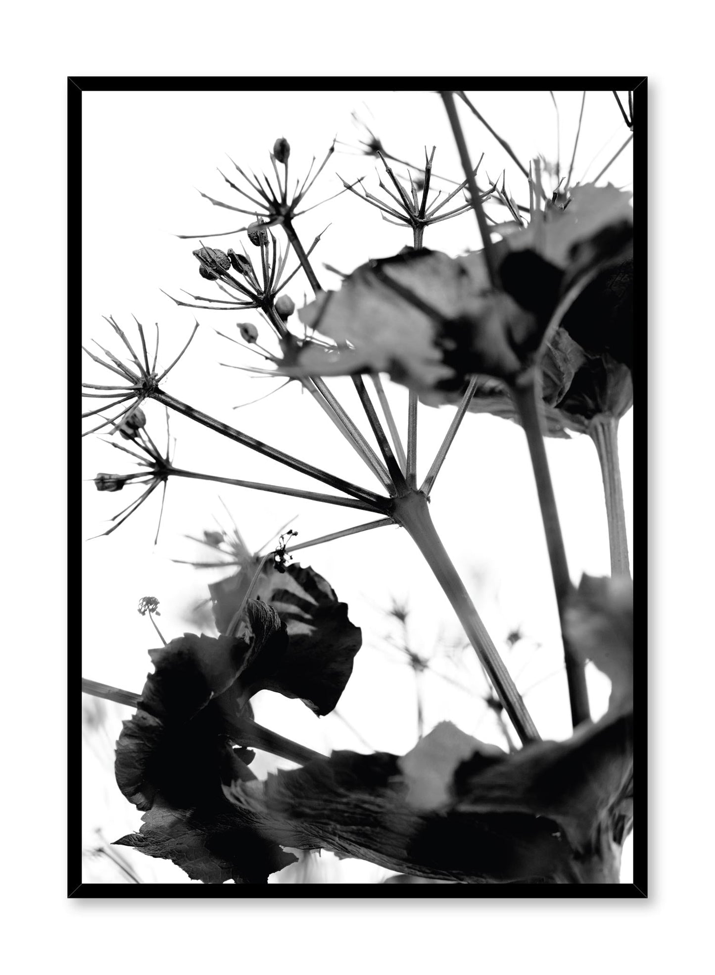 Stickler in the Wind, Poster