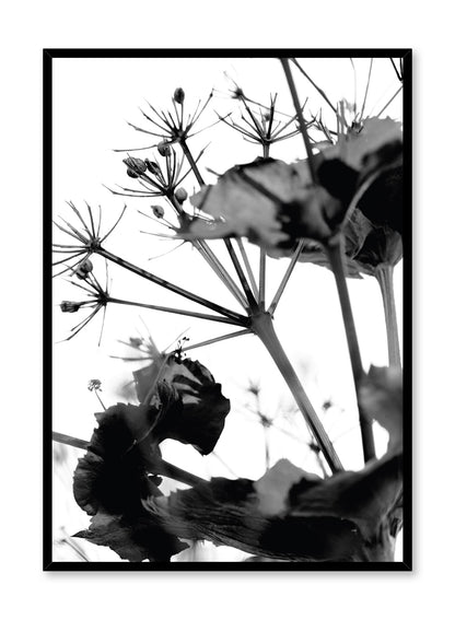 Stickler in the Wind, Poster