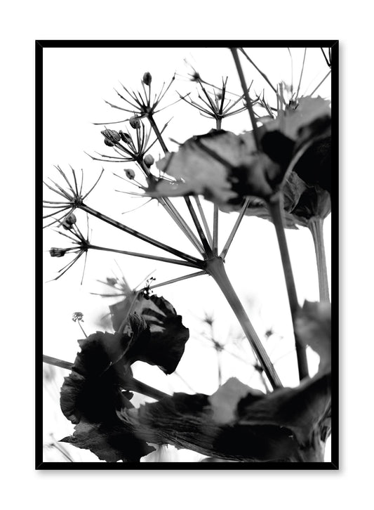 Stickler in the Wind, Poster