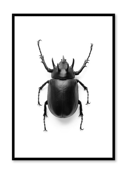 Beetle, Poster
