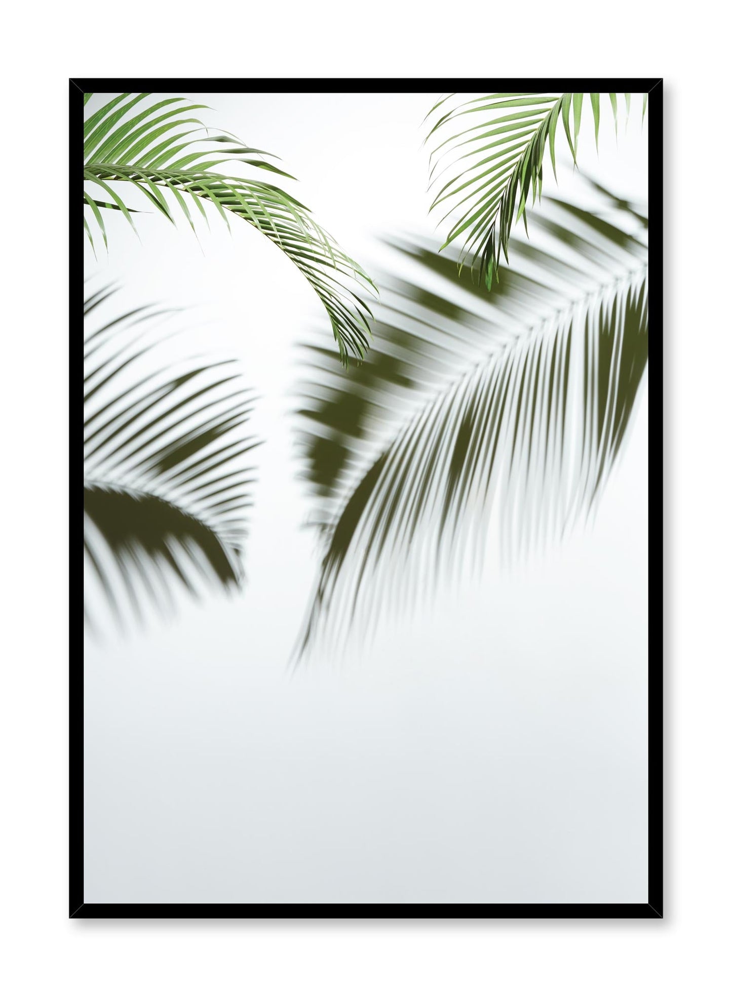 Tropical Blur, Poster