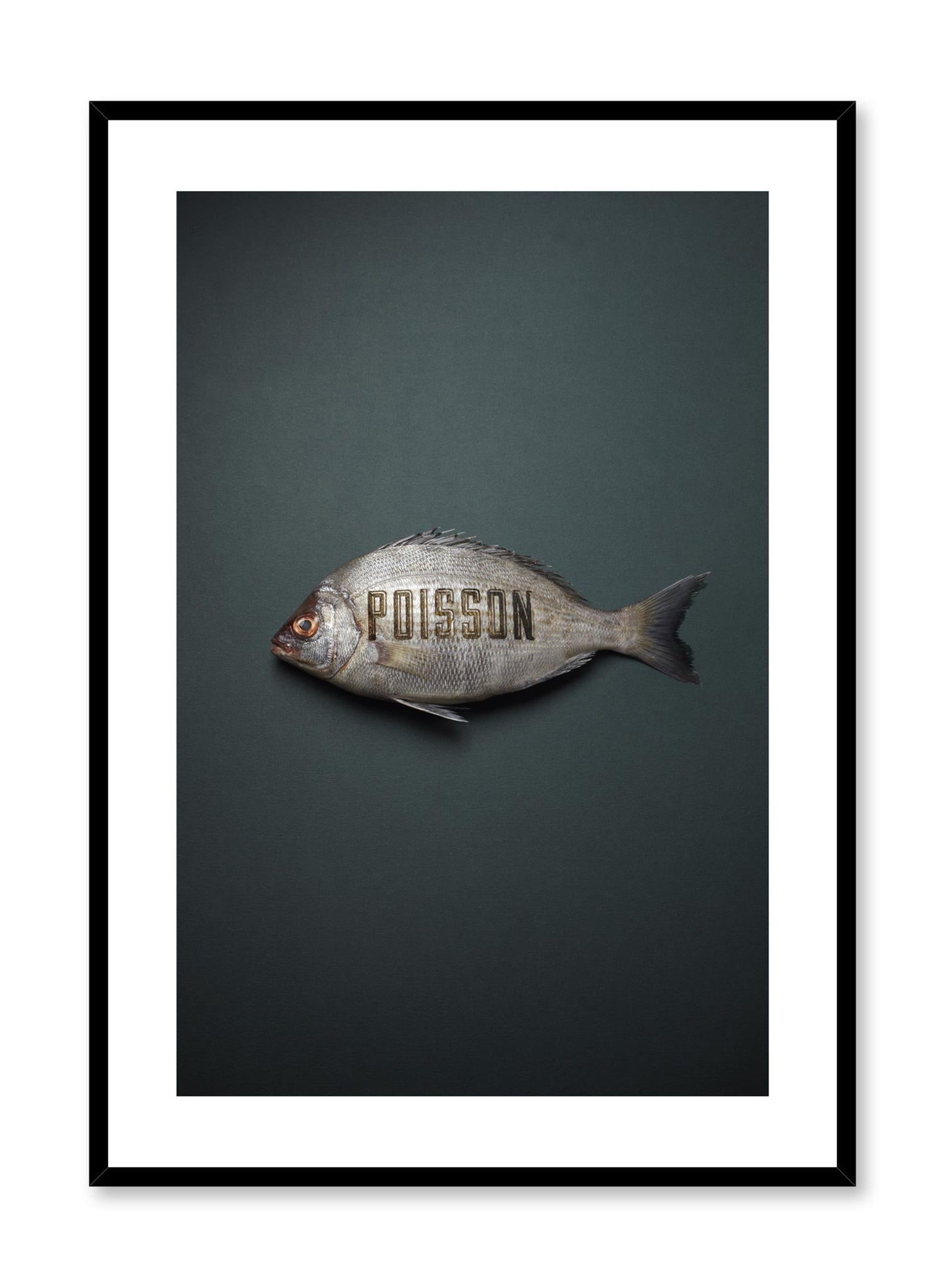 Poisson, Poster