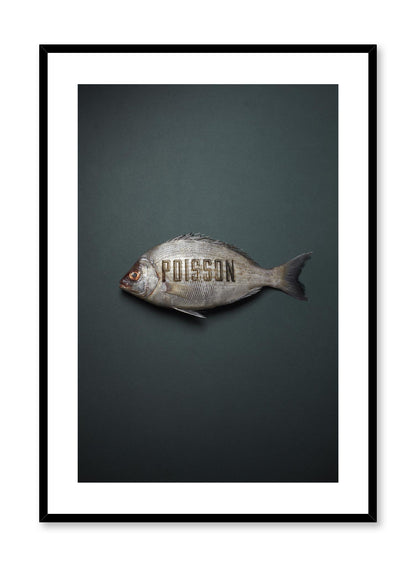 Poisson, Poster