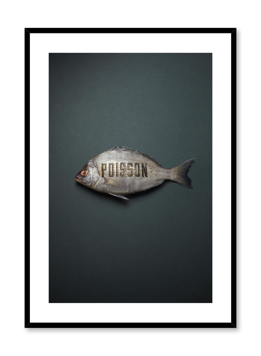 Poisson, Poster