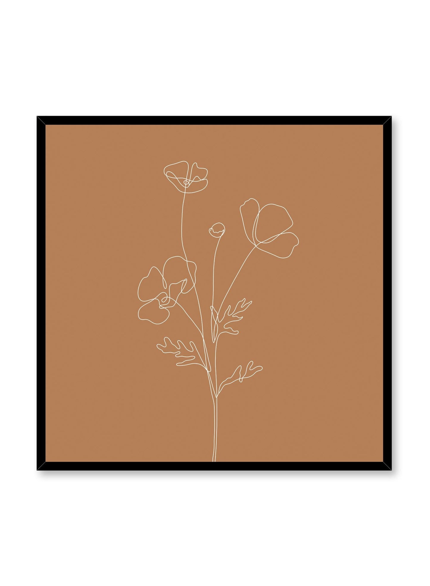 Poppy Sketch in Burnt Orange, Poster