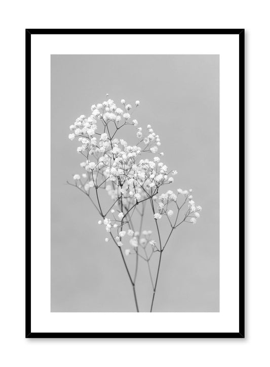 Baby's Breath in Black, Poster