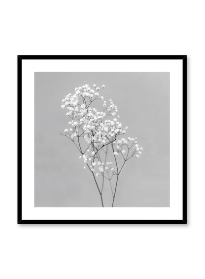 Baby's Breath in Black, Poster