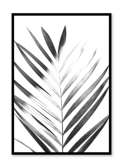Sunlight in Black, Poster