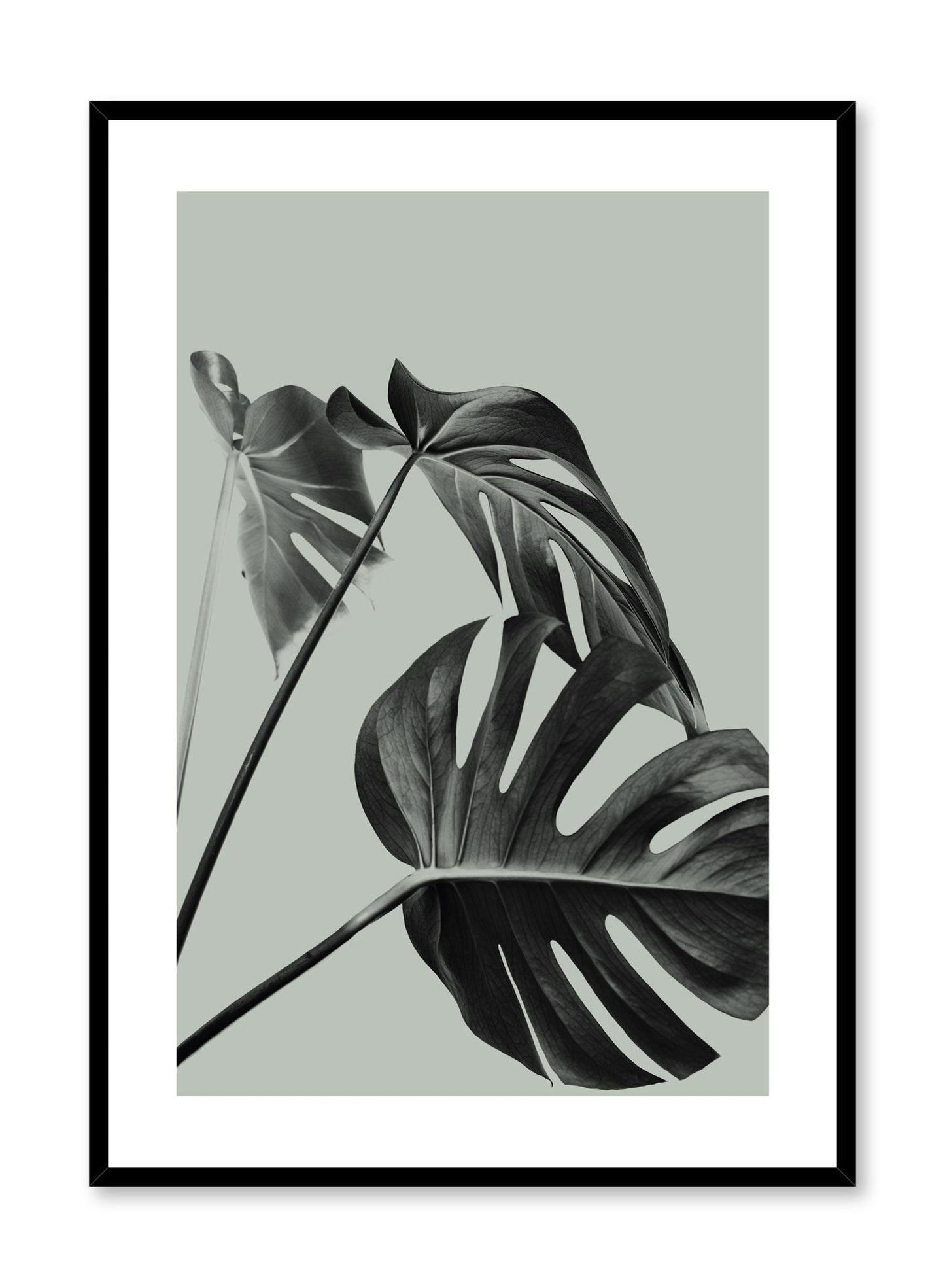 Three's a Charm in Green, Poster