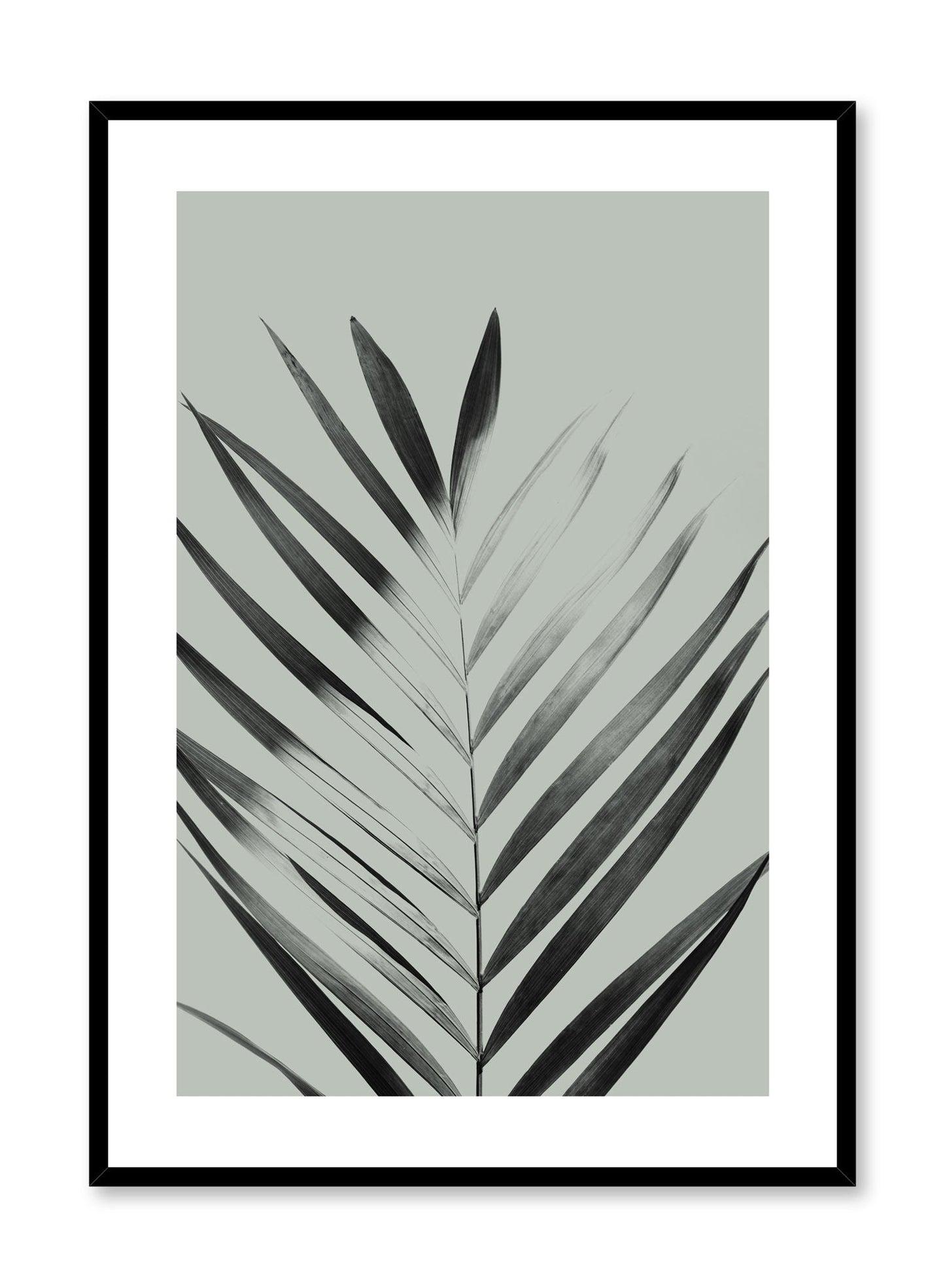 Sunlight in Green, Poster
