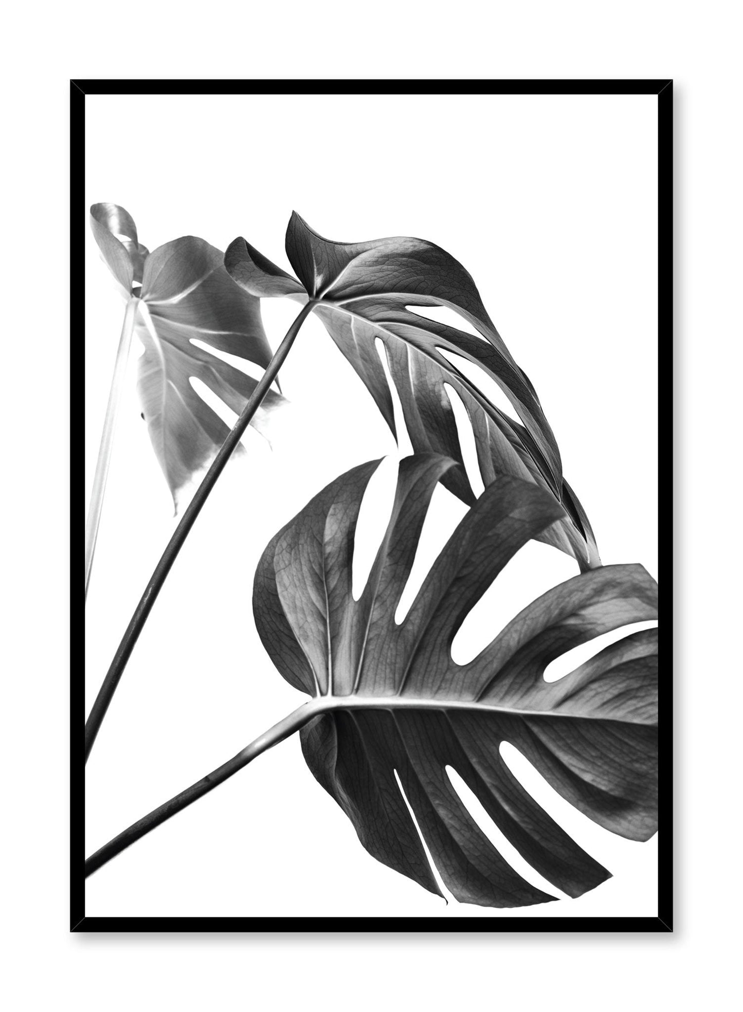 Three's a Charm in Black, Poster