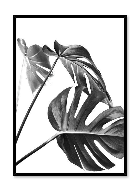 Three's a Charm in Black, Poster