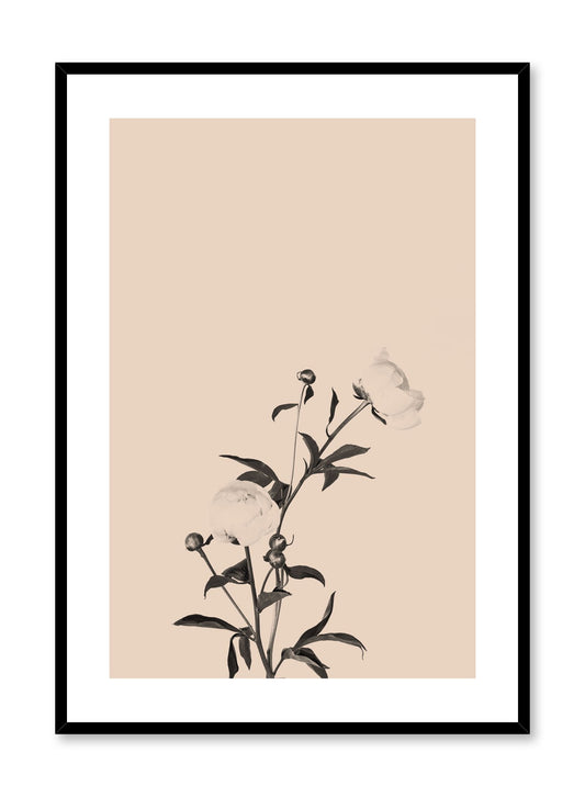Romance in Beige, Poster