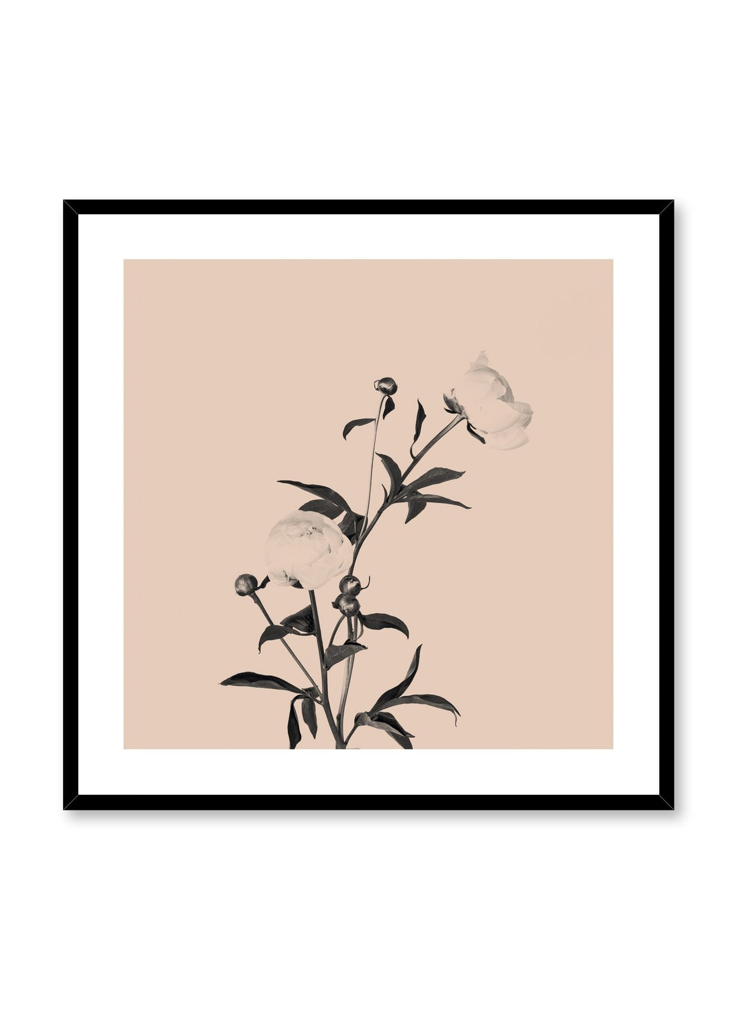 Romance in Beige, Poster