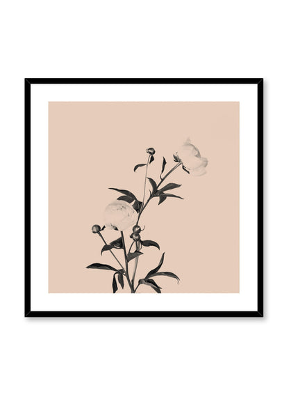 Romance in Beige, Poster