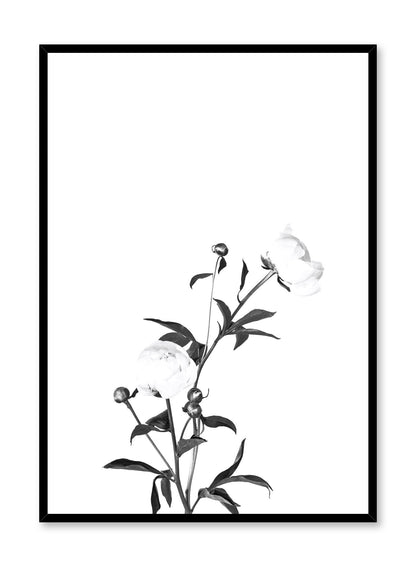 Romance in Black, Poster