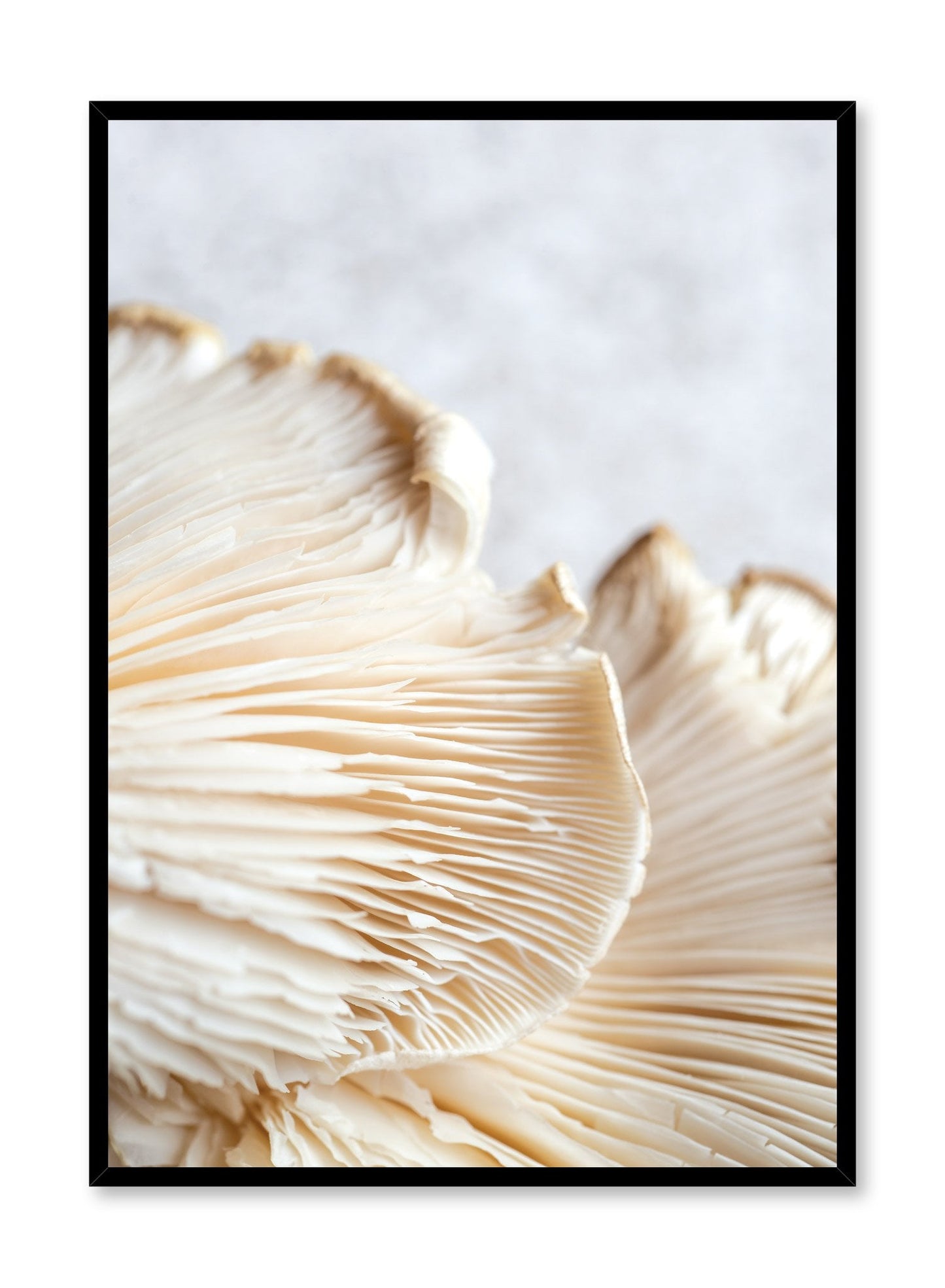 Mushroom Detail, Poster