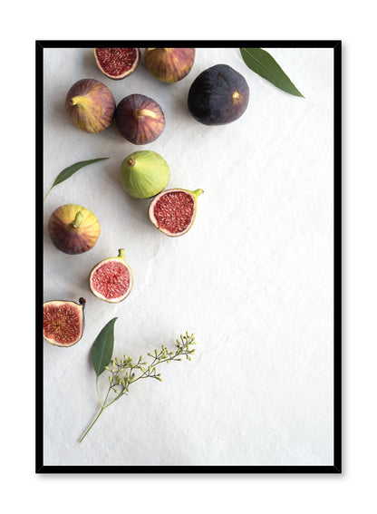 Figs, Poster