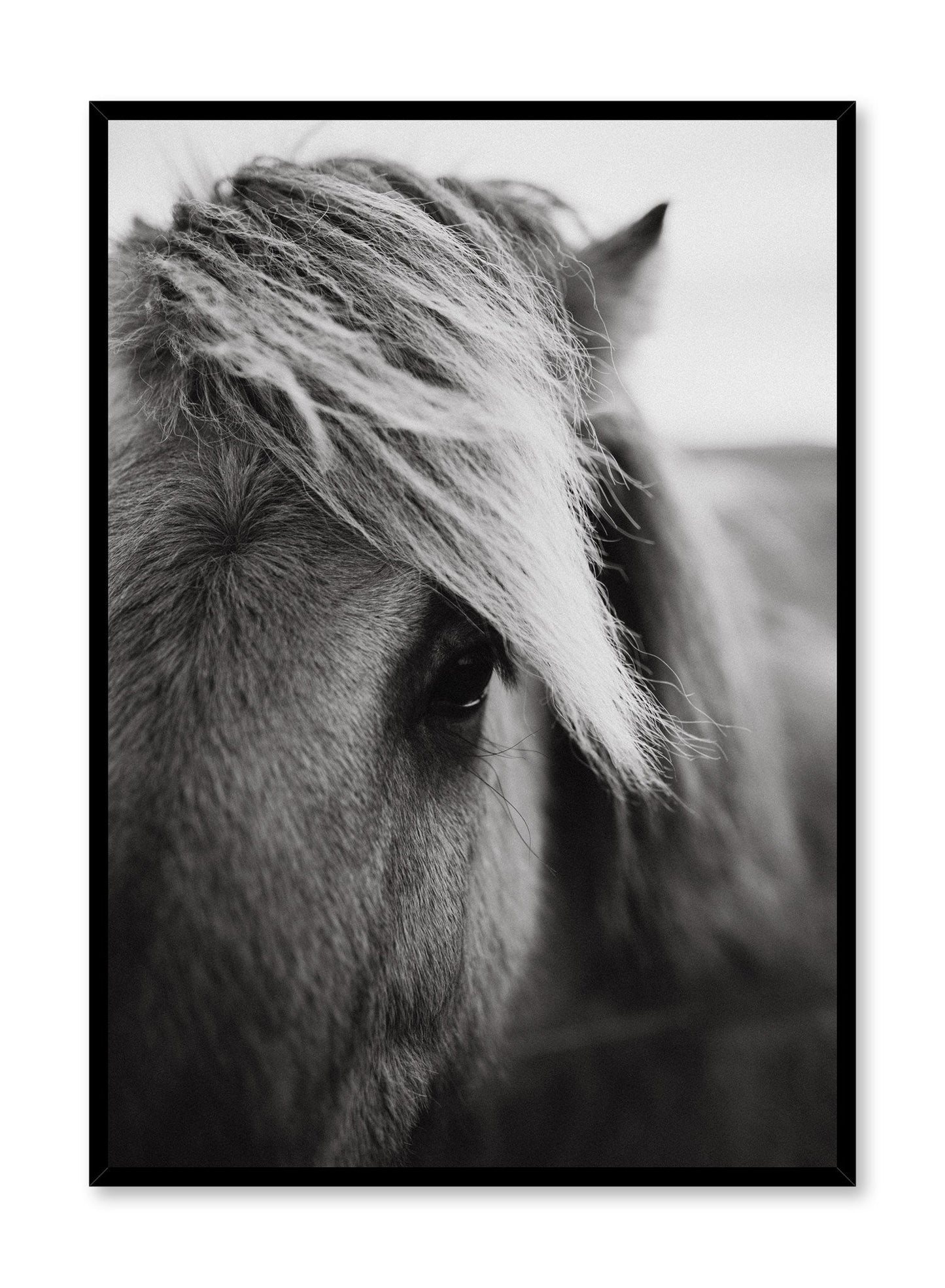 Saddle Up, Poster
