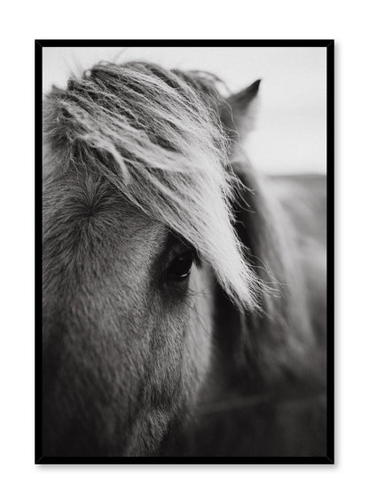 Saddle Up, Poster