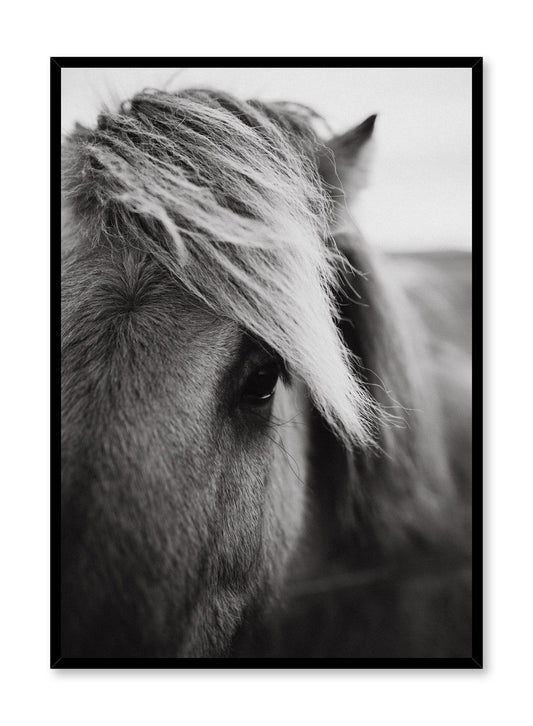 Saddle Up, Poster