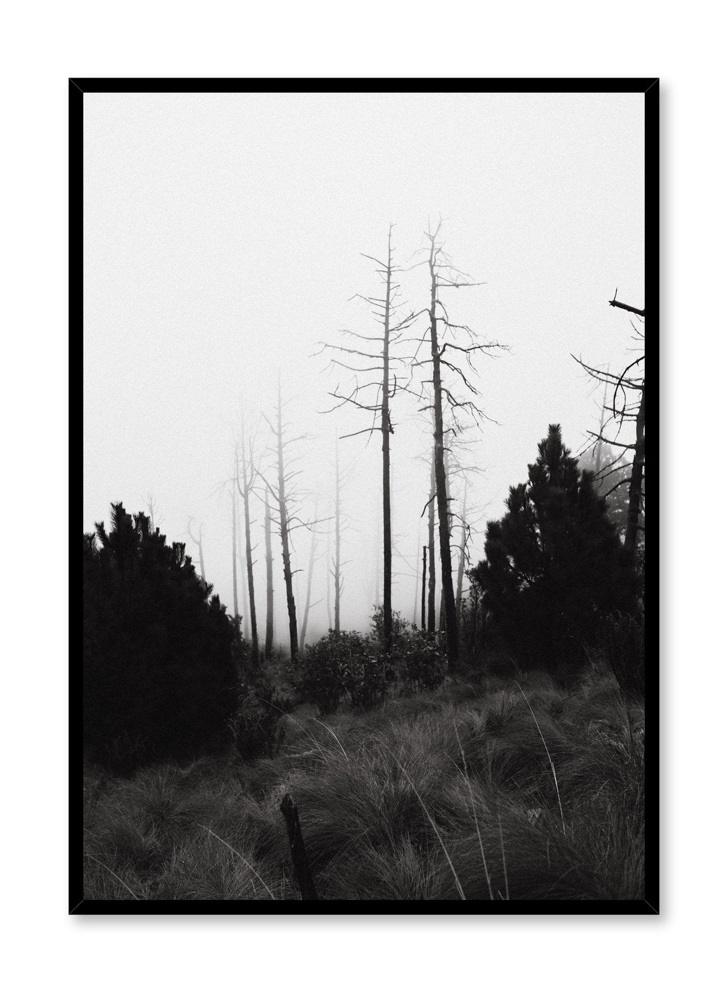 Barren, Poster