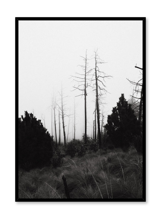 Barren, Poster