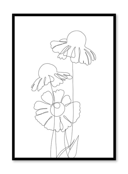 Coneflower, Poster
