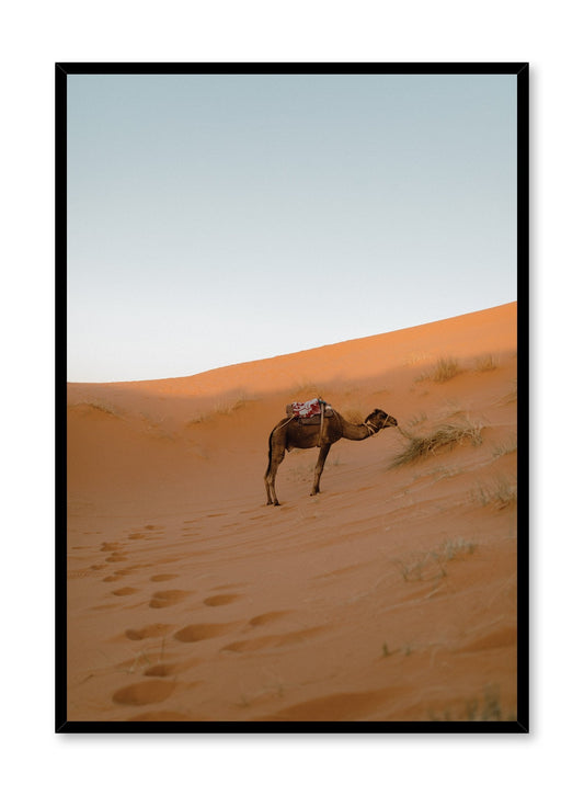 Lone Camel, Poster