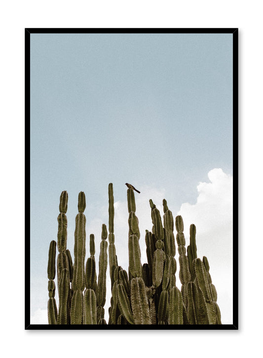 Tall Cactus, Poster